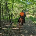 Big Oaks Equestrian State Campground