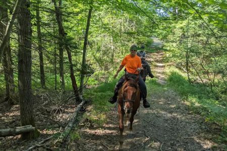 Big Oaks Equestrian State Campground