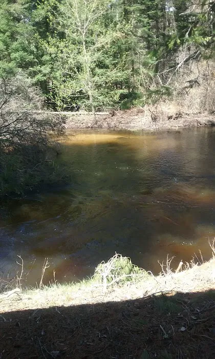Becks Red Lantern Campground 5