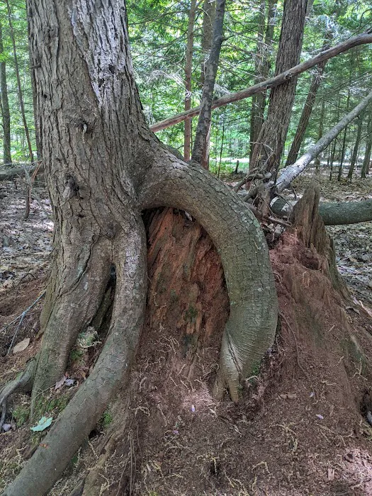 Otsego Lake County Park 7