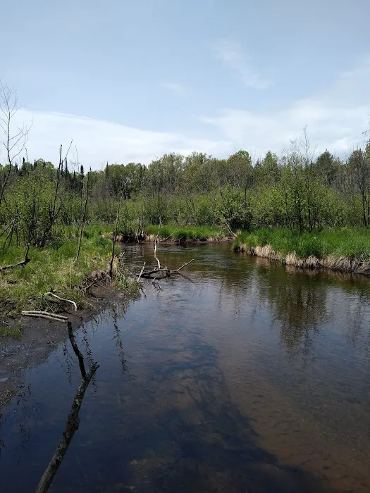 Pine River National Forest Campground 6