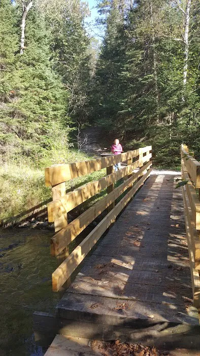 Pine River National Forest Campground 3