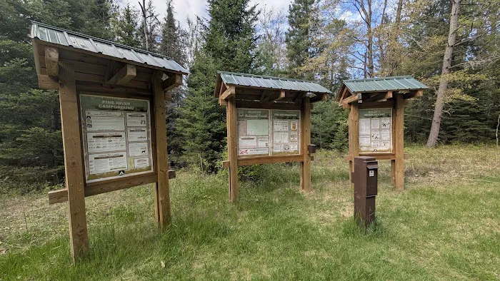 Pine River National Forest Campground 10