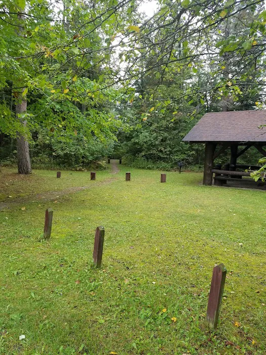 Pine River National Forest Campground 7