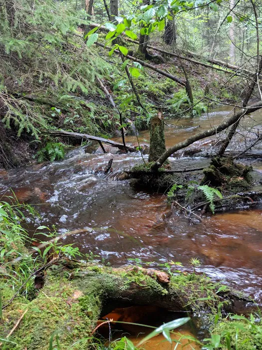 Pine River National Forest Campground 5