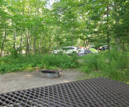 D. H. Day Campground