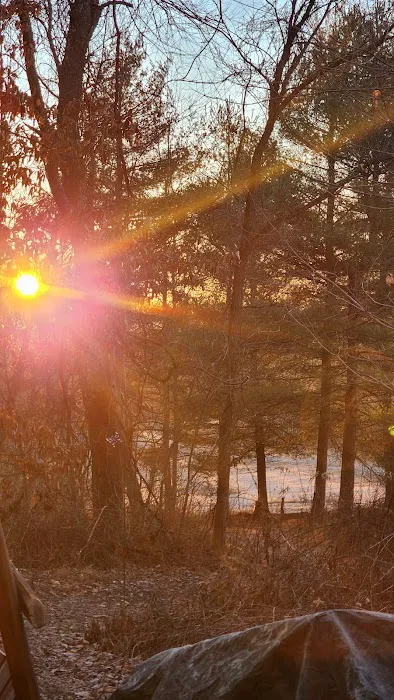 Trothwood Forest 2