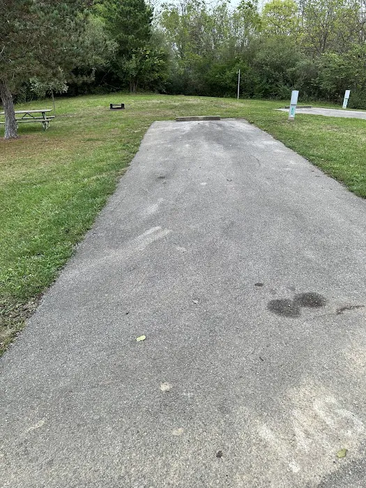 Campsite 146 (Electric Only) 1