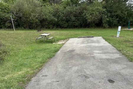 Campsite 142 (Electric Only)