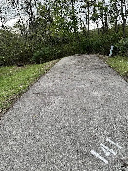 Campsite 141 (Electric Only) 1
