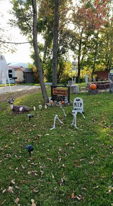 Buffalo Hills RV Resort - Family Owned 8