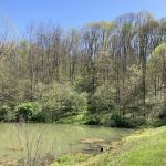 Trailriders Campground - Harrison State Forest