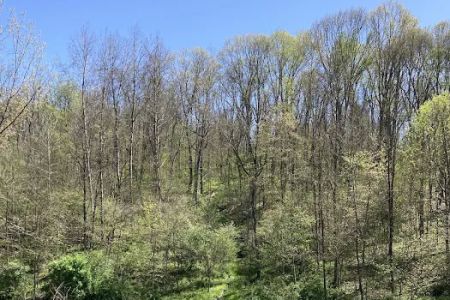 Trailriders Campground - Harrison State Forest