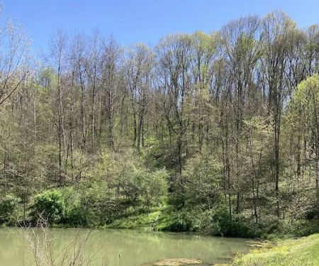 Trailriders Campground - Harrison State Forest