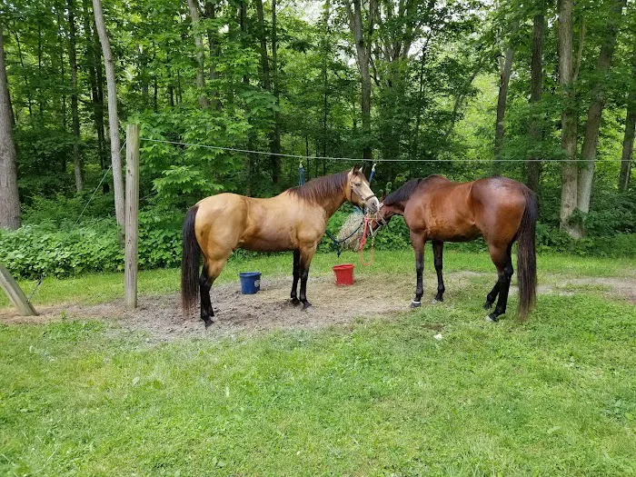Trailriders Campground - Harrison State Forest 6