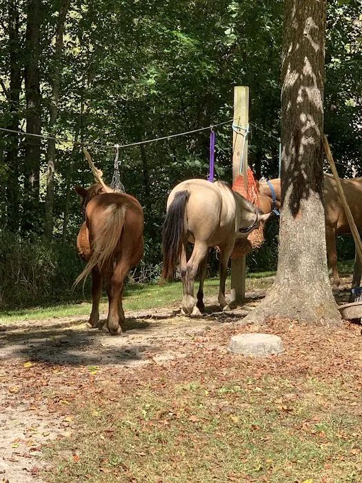 Trailriders Campground - Harrison State Forest 10