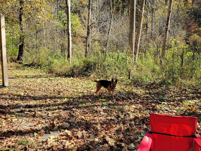 Trailriders Campground - Harrison State Forest 4