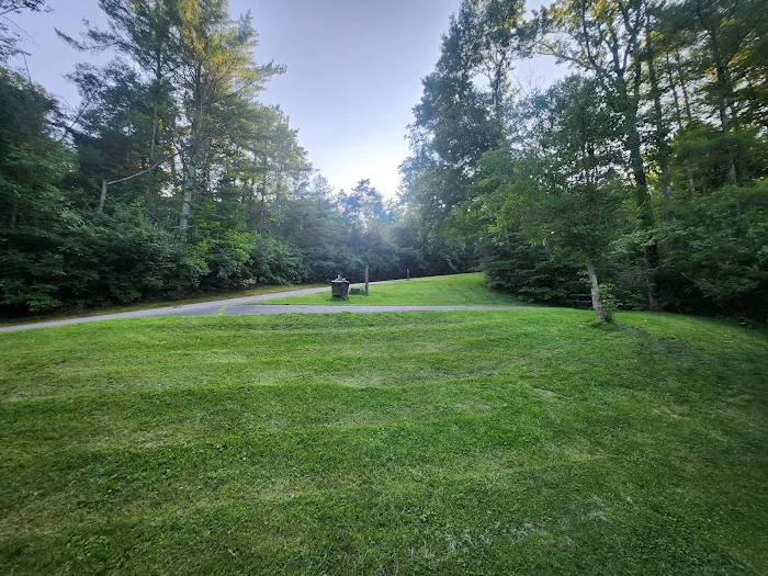Harrison State Forest Ronsheim Campground 9