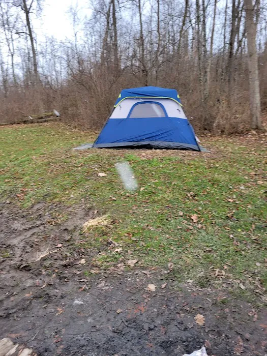 Harrison State Forest Ronsheim Campground 6