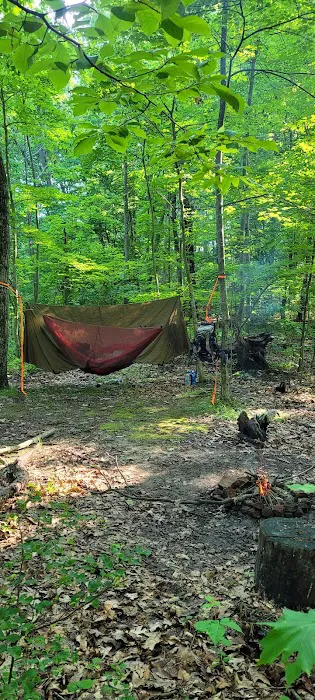 Zeleski State Forest Camp 3 - Secluded Camp Site 2