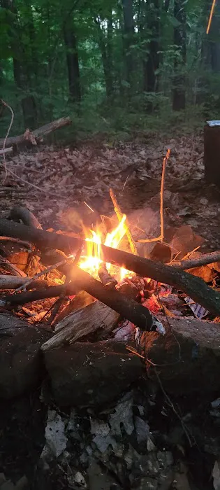 Zeleski State Forest Camp 3 - Secluded Camp Site 1