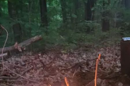 Zeleski State Forest Camp 3 - Secluded Camp Site