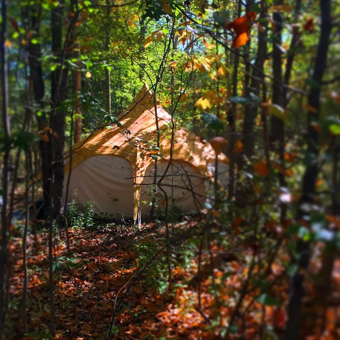 The Eco Camp 8