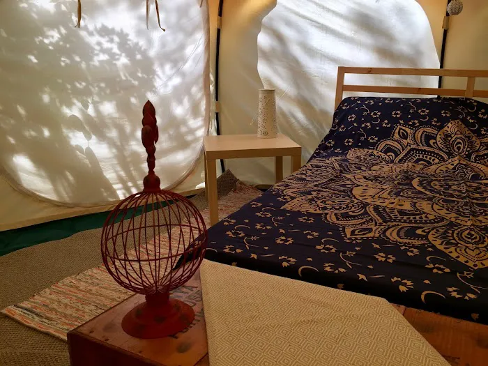 The Eco Camp 4