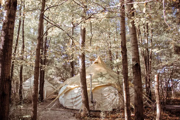 The Eco Camp 5