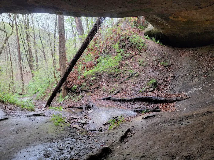 Lake Hope State Park Campground 6
