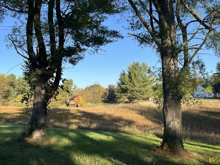 Under the Stars Campground 8