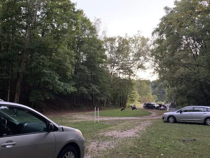 Primitive Campground 7