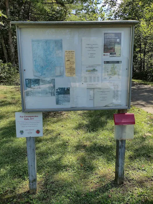 Primitive Campground 3