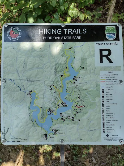 Primitive Campground 6