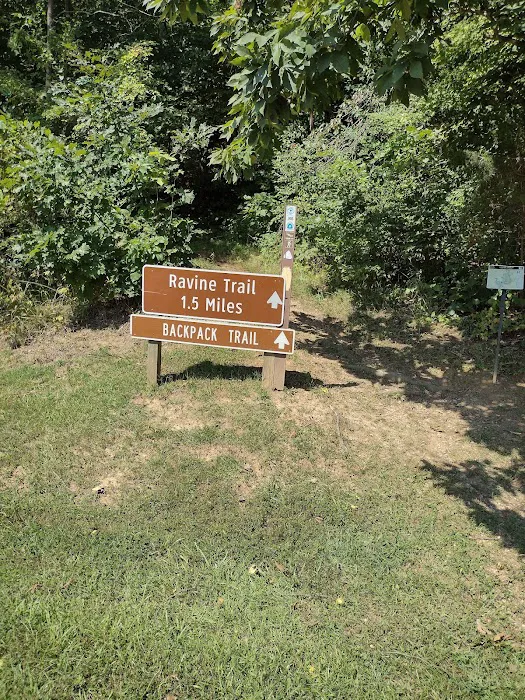 Primitive Campground 2