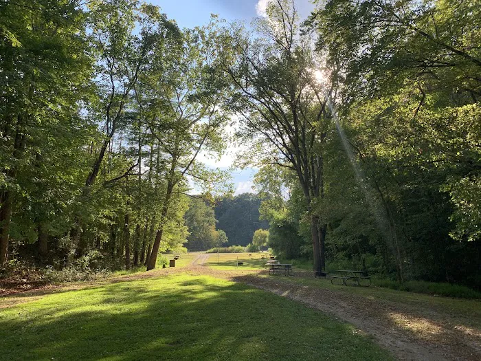 Primitive Campground 4