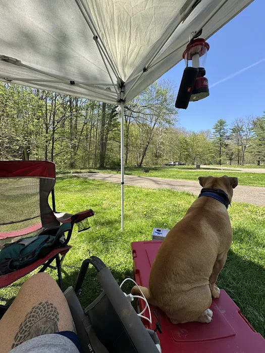The Campground at Strouds Run State Park 8