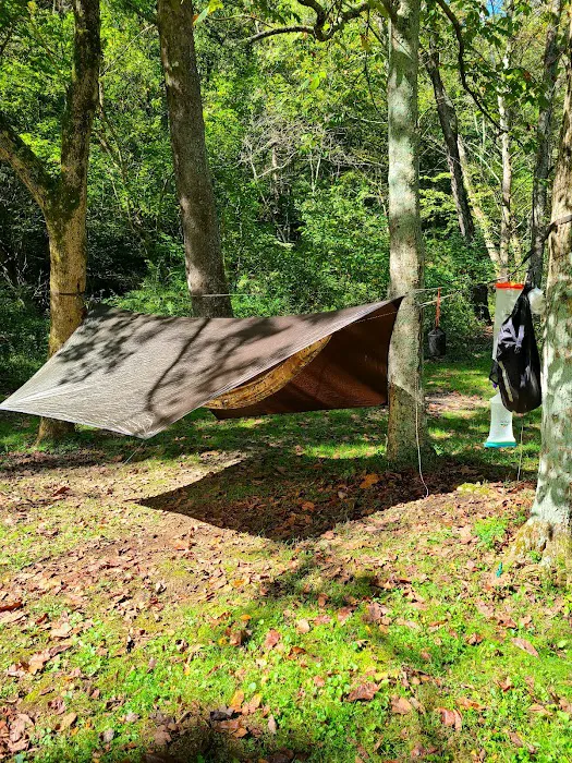 The Campground at Strouds Run State Park 10