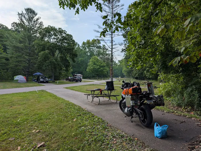 The Campground at Strouds Run State Park 4