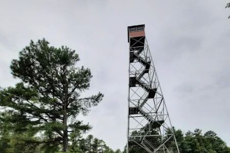 Zaleski State Forest Atkinson Ridge Hunters Camp