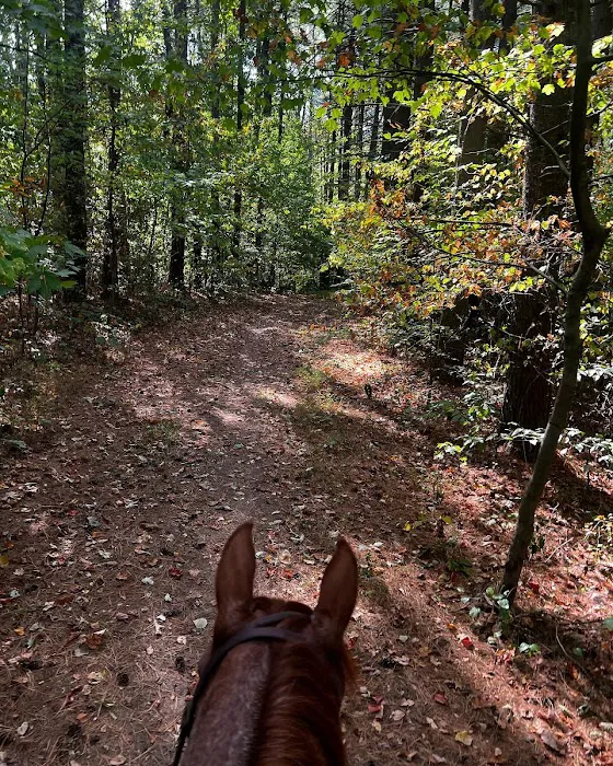 Zaleski State Forest Horse Camp 4