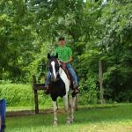 Zaleski State Forest Horse Camp