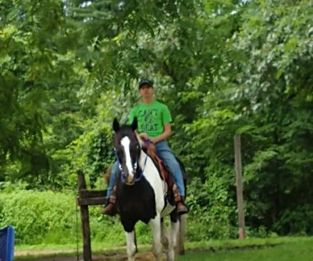 Zaleski State Forest Horse Camp