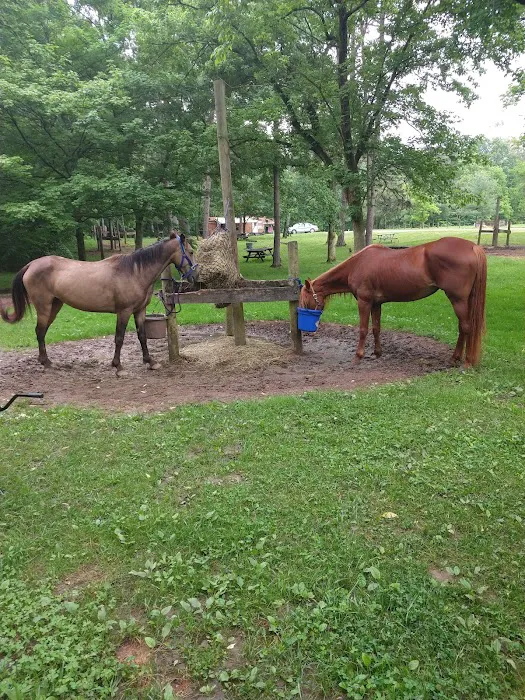 Zaleski State Forest Horse Camp 7