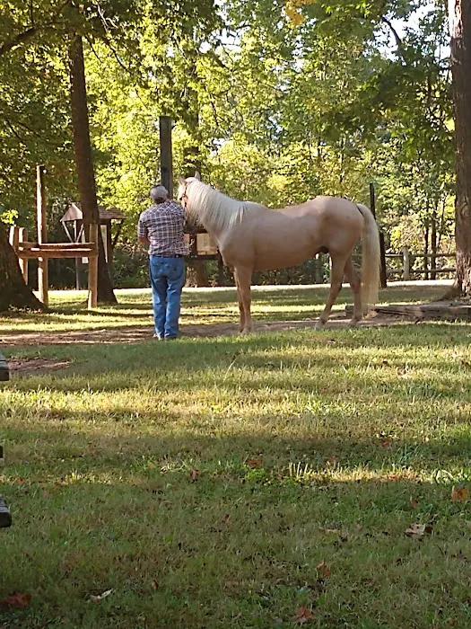 Zaleski State Forest Horse Camp 3