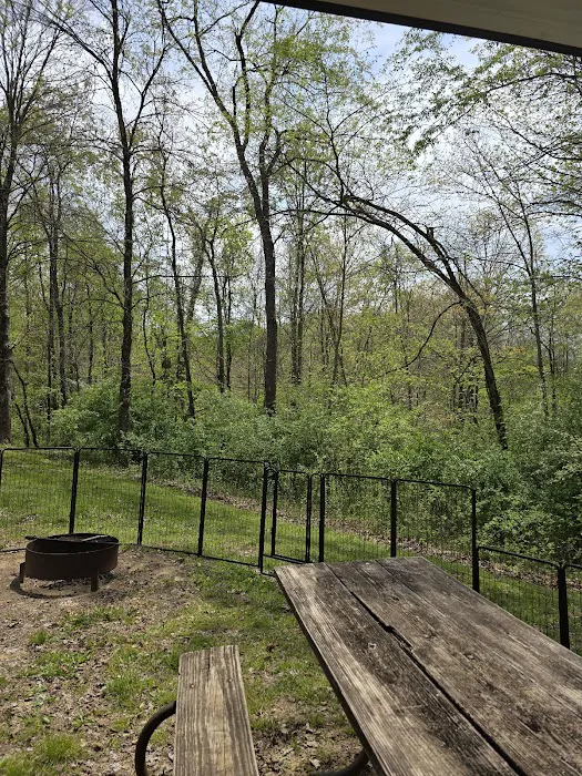 Wolf Run State Park Campground 10