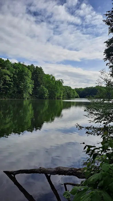 Wolf Run State Park Campground 7