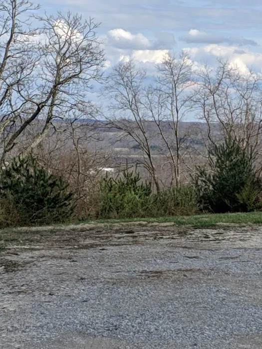 C and T Campground 7