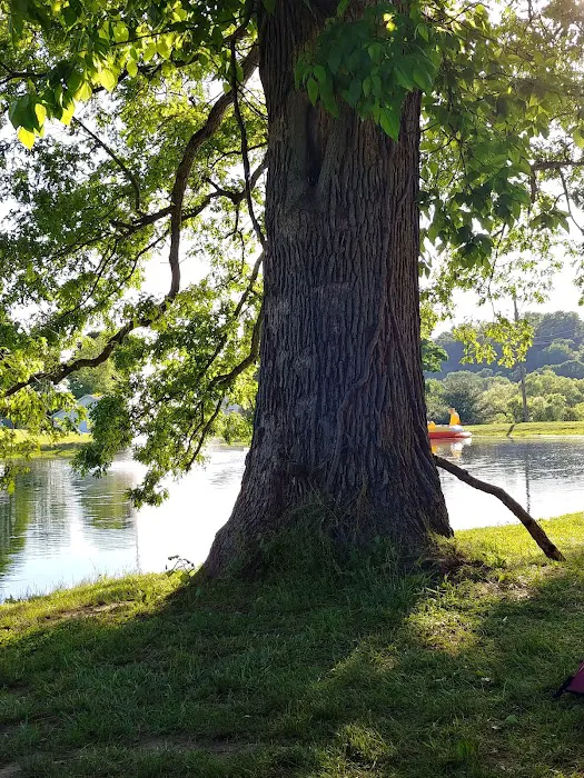 Big Arb's Campground 10