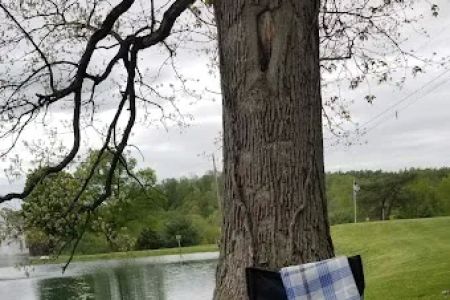 Big Arb's Campground